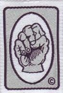 21 Months Training Badge